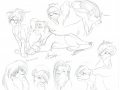 Practising_Lions.png